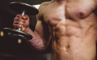 Muscle gain nutrition